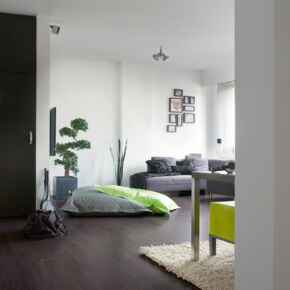 Eligna - Laminate Flooring - Wenge