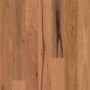 Compact - Timber Flooring - Blackbut