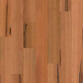 Compact - Timber Flooring - Spotted Gum